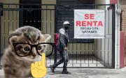 Jalisco: Cómo registrarse al programa Mi Primera Renta 2026