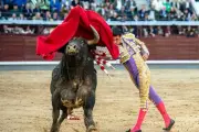 Juan Pablo es designado triunfador de la Feria de San Marcos