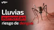Lluvias elevan riesgo de dengue: Cenapred pide eliminar criaderos en casa