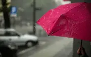 Lluvias en Guadalajara: horarios clave para este 12 de mayo
