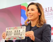 Marina del Pilar descarta solicitar licencia como Rocha Moya