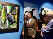 Mario Delgado inaugura 'Murmullos de los océanos' en el Museo Vivo del Muralismo
