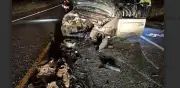 Milagro en Durango: conductor sobrevive a volcadura y choque de camión