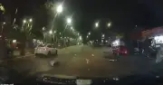 Motociclista muere al pasarse semáforo en rojo y chocar contra Tesla en CDMX