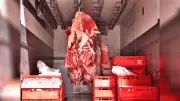 México dispara exportaciones de carne de res; preocupa dependencia de cerdo
