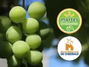 Ofertas en Walmart y Chedraui: frutas y verduras con descuentos