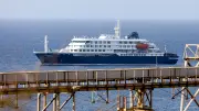 OMS alerta sobre brote de hantavirus en crucero con tres muertos