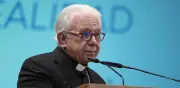 Paz en México: responsabilidad de todos, no solo del Estado