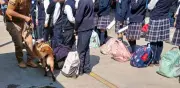 Perros entrenados revisan mochilas en escuelas del Edomex con programa Mochila de Paz