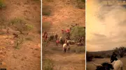 Persecución a caballo en el desierto: Patrulla Fronteriza detiene a 13 migrantes