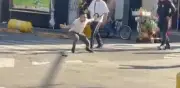 Policía desarma a sujeto en el Centro Histórico de la CDMX