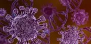 Posible caso de hantavirus de tercera generación en vuelo a Europa