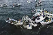 Preocupa a pescadores visión ambiental de nueva directora