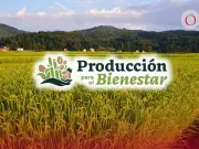 Producción para el Bienestar 2026: pagos de hasta $24,000 en mayo