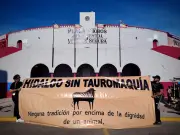 Prohibición de tauromaquia en Hidalgo avanza con iniciativa del PVEM