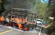 Reacomodos en el CJNG desatan violencia en la Meseta Purépecha