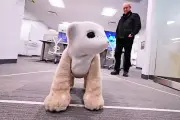 ¿Reemplazará la tecnología a tu perro o gato?