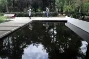 Rehabilitan humedal en Bosque de Chapultepec
