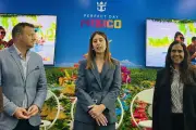 Revisará México inversión de Royal Caribbean; caen acciones