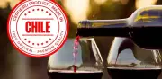 Secretos del éxito de los vinos chilenos: calidad, geografía y Carménère