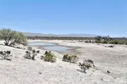 Sequía en México baja en abril: solo Anáhuac la presenta