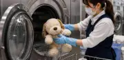 Spa para peluches en Japón: el servicio viral que conquista redes