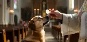 Suiza: polémica por comunión entregada a perros en misa