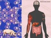Taenia solium: el parásito que desafía la salud pública en México
