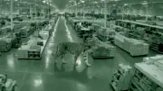 ¿Tigre suelto en CDMX? La verdad viral