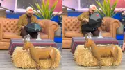 Tunden al programa Hoy por regalo a Carín León: reacción viral
