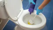 Vinagre para limpiar el inodoro y eliminar malos olores fácilmente