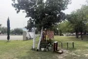 Virgen del Parque divide a vecinos de San Nicolás