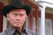 Westworld regresa al cine con David Koepp como guionista