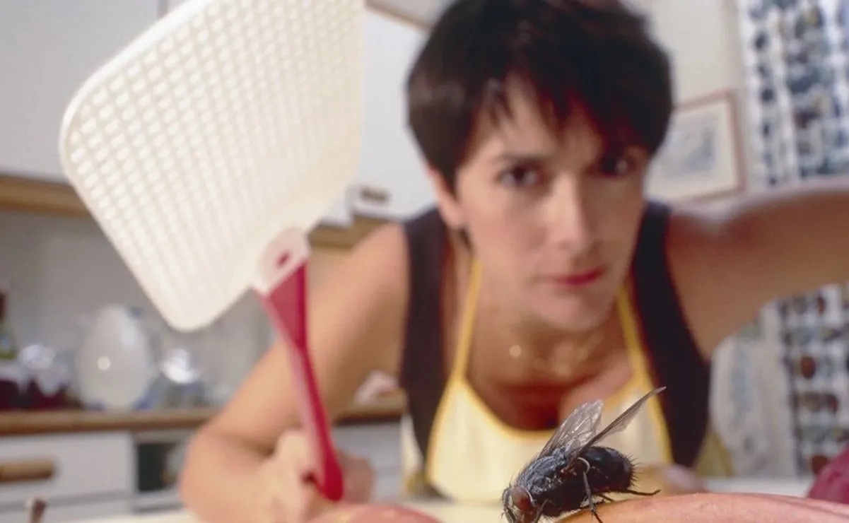 Elimina moscas con estos consejos naturales efectivos