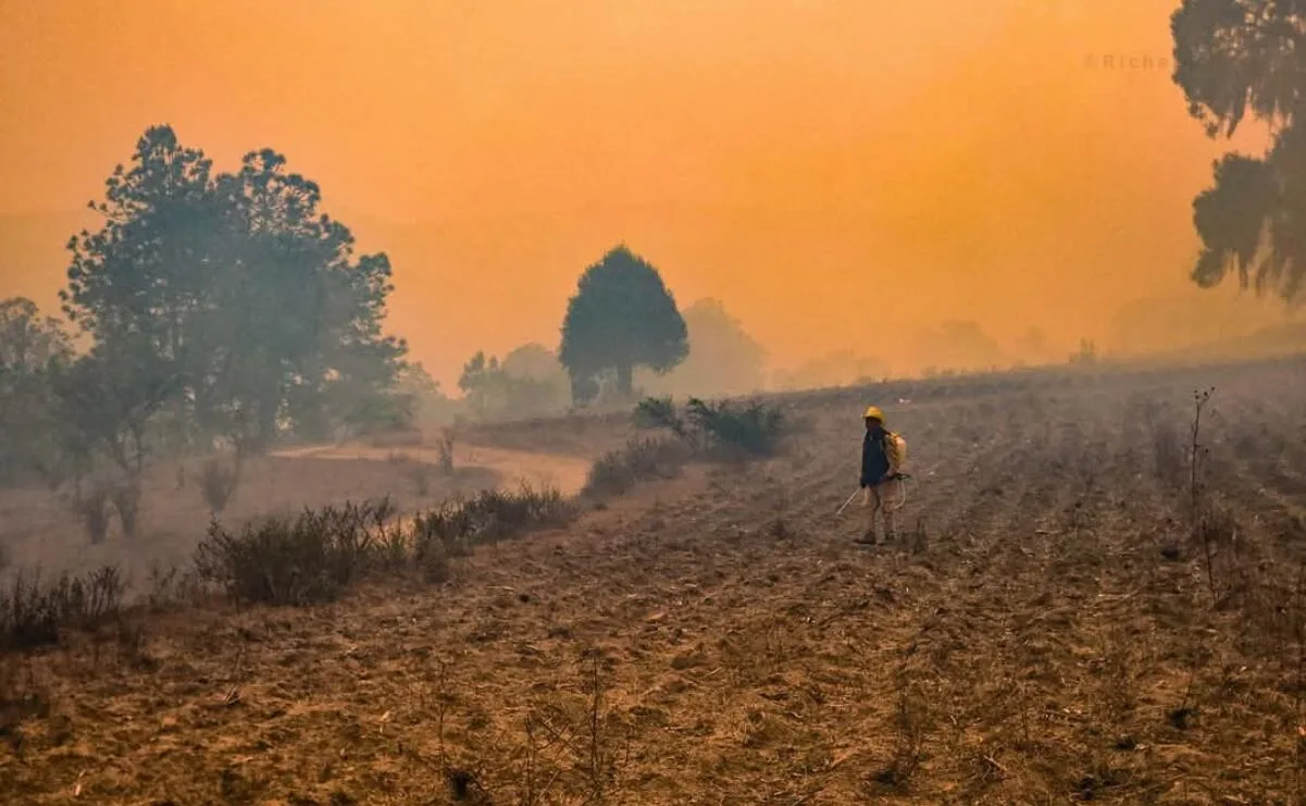 Incendios forestales activos en México aumentan 50% en dos semanas; hay 120 emergencias