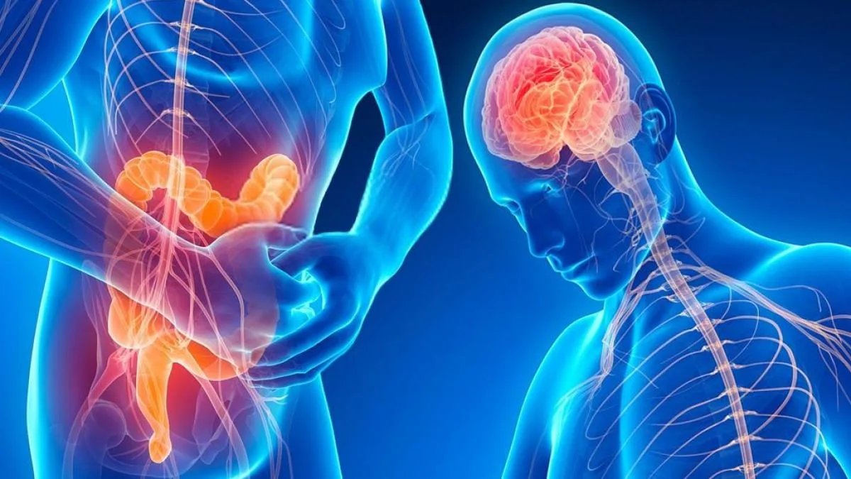 Síndrome de Intestino Irritable: manejo integral con Enterokan® y cambios en estilo de vida