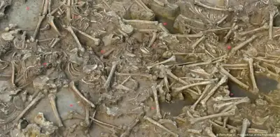 78 esqueletos sin cabeza desconciertan a arqueólogos en Eslovaquia