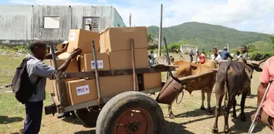 Ayuda humanitaria en Cuba avanza en carretas de bueyes por falta de combustible