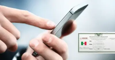 Cómo consultar celulares registrados con tu CURP en México