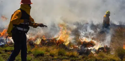 Estudiantes del IPN crean app con IA para prevenir incendios forestales