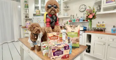 Exportaciones de alimento para mascotas en México crecen 7.5 veces en una década
