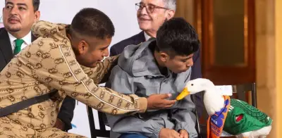 IMPI reconoce que Pato Merlín pertenece a familia de Carla Ivette Gómez