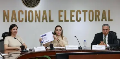 INE investiga a futuros partidos por inconsistencias financieras