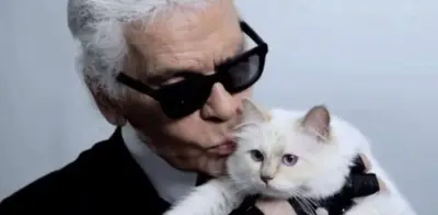 La triste realidad de la gata más rica del mundo: sin herencia de Lagerfeld