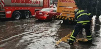 Lluvia matutina deja 79 árboles caídos y severos estragos en CDMX y Edomex