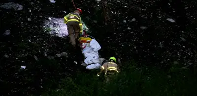 Muere hombre atacado por jauría en lote baldío de Aguascalientes