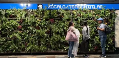Muros verdes del Metro costaron 5,693 pesos por metro cuadrado; STC lo defiende