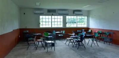 Paros de la CNTE aumentan deserción escolar en primaria en 5 estados