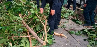 Rama bloquea acceso a escuela para niños con discapacidad en CDMX