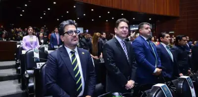 Reforma constitucional de bienestar animal es clave contra ataques de jaurías: PVEM